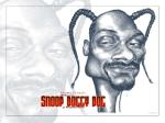 voila snoop