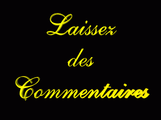 laissex des commentaires